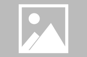 500.com-【早报】16岁道曼刷新英超历史最年轻进球记录！